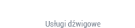 DKBUD - Usługi dźwigowe żurawiem samochodowym samojezdnym